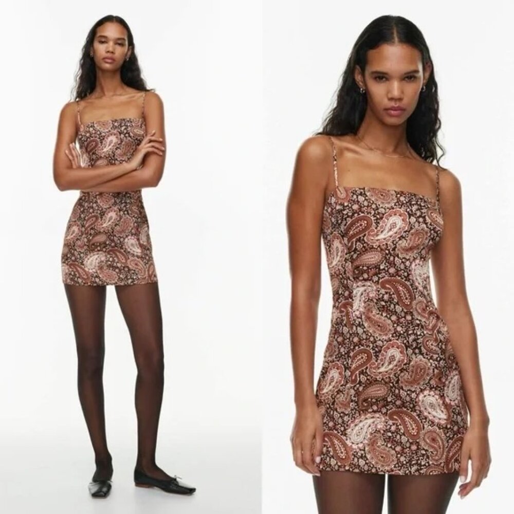 Aritzia Sunday Best Paisley Print Dress